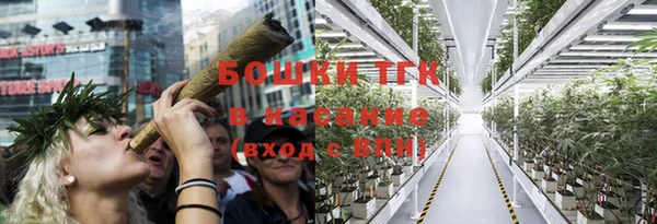 PSILOCYBIN Навашино