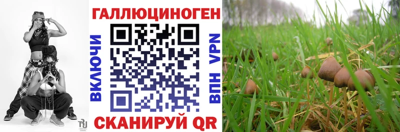 купить наркотик  кракен ссылки  Псилоцибиновые грибы Magic Shrooms  Советск 