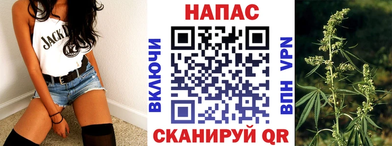 закладка  Советск  мега вход  Шишки марихуана OG Kush 